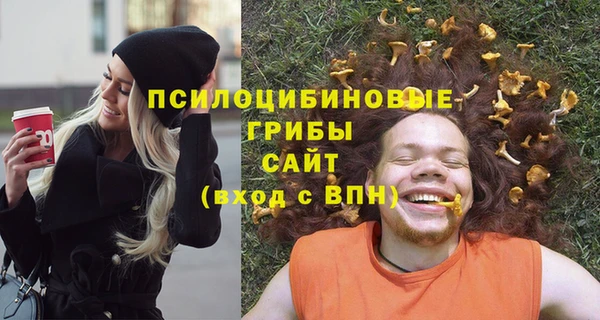 дурь Аркадак