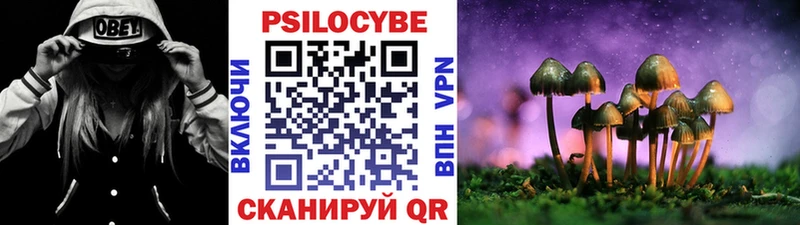 Псилоцибиновые грибы мухоморы МЕГА вход Вязьма дарнет шоп